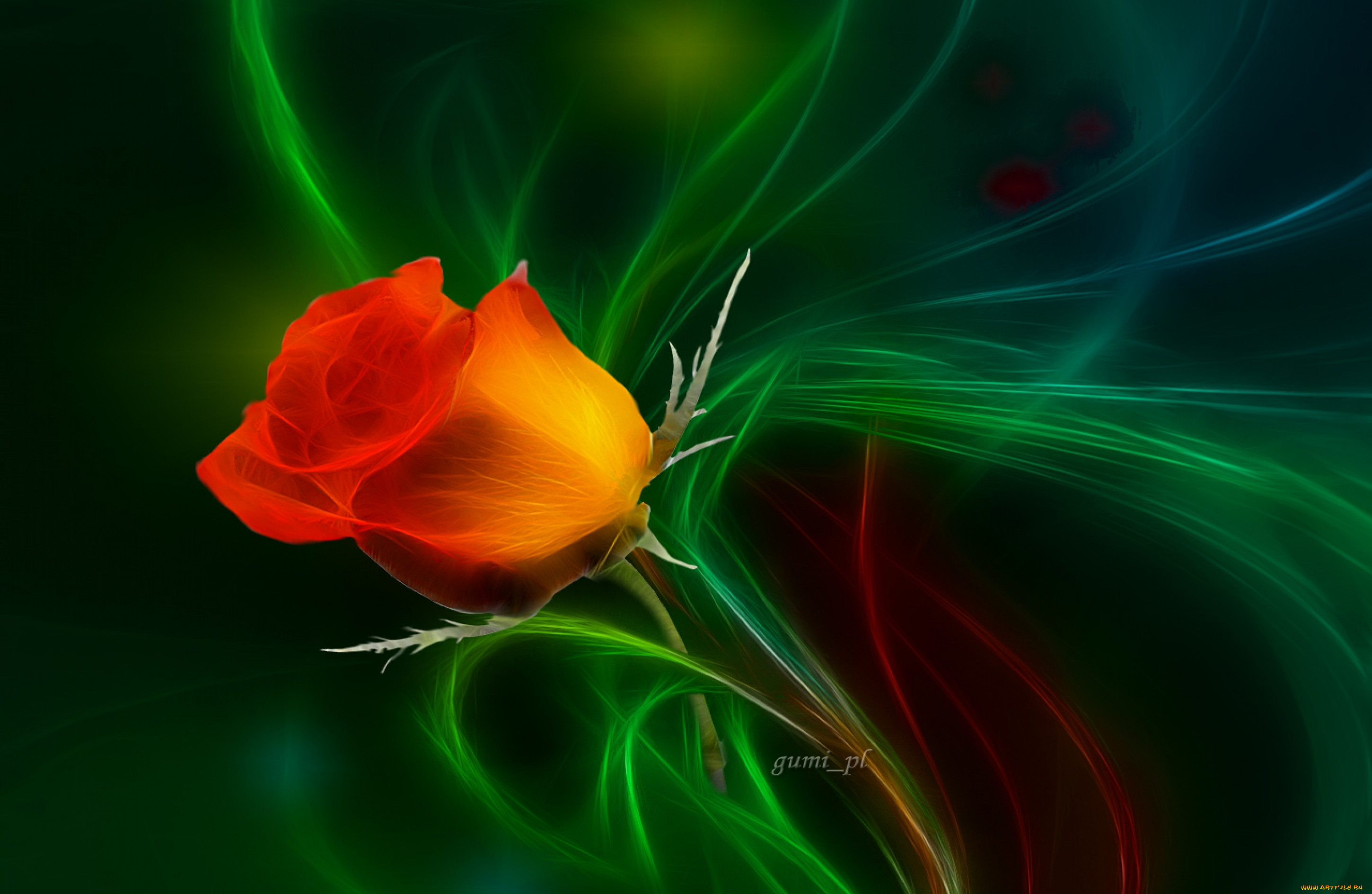 Красные розы через зеленое стекло. Розы на зеленом фоне. Красный цветок на зеленом фоне. Красные розы на зеленом фоне.